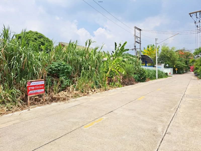 ที่ดินกระทุ่มแบน สมุทรสาคร, Samut Sakhon, Om Noi, Krathum Baen, Samut Sakhon, , 3,200 sqm, Land For Sale, by The Best Property เป๊ก, 500478907 - DDproperty.com