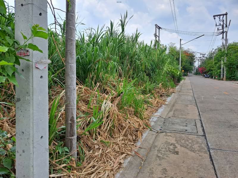 ที่ดินกระทุ่มแบน สมุทรสาคร, Samut Sakhon, Om Noi, Krathum Baen, Samut Sakhon, , 3,200 sqm, Land For Sale, by The Best Property เป๊ก, 500478907 - DDproperty.com