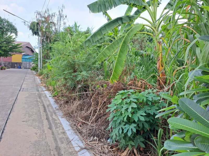 ที่ดินกระทุ่มแบน สมุทรสาคร, Samut Sakhon, Om Noi, Krathum Baen, Samut Sakhon, , 3,200 sqm, Land For Sale, by The Best Property เป๊ก, 500478907 - DDproperty.com