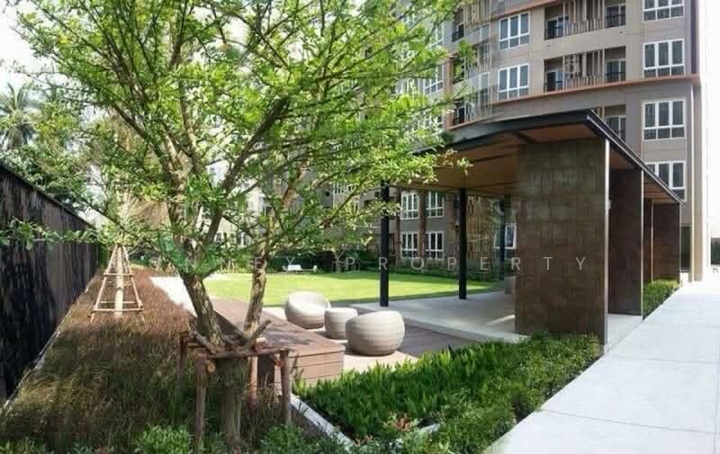 The Key Sathorn-Ratchapreuk, Bangkok, Ratchapruek Road, Bangko, Chom Thong, Bangkok, 1 Bedroom, 32 sqm, Condo For Rent, by Connex Property, 500478999 - DDproperty.com
