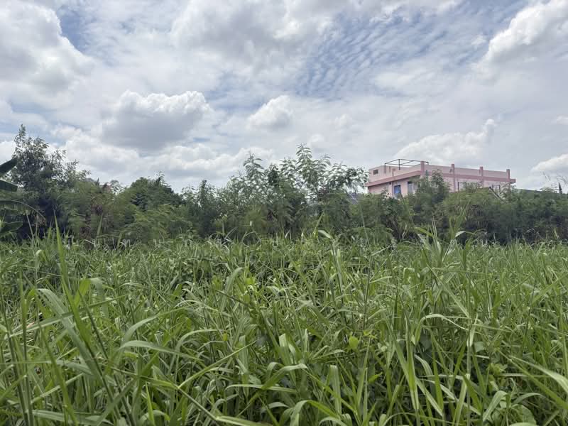 นวมินทร์59, กรุงเทพ, นวมินทร์, บึงกุ่ม, กรุงเทพ, 2,456 ตร.ม., ที่ดิน ขาย, โดย นันท์นภัส ประยูรรัตน์, 500479034 - DDproperty.com