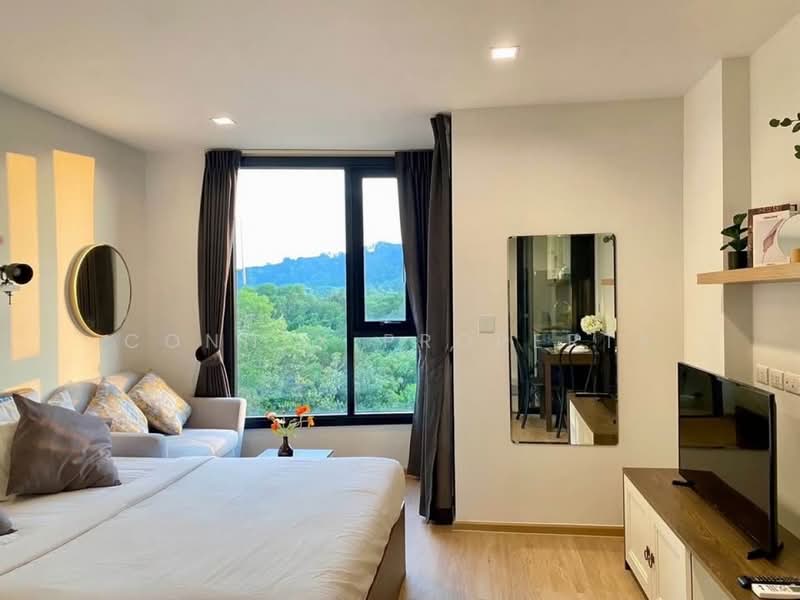 The Base Central : เดอะ เบส เซ็นทรัล ภูเก็ต, ภูเก็ต, ถนน เจ้าฟ้าตะวันตก, วิชิต, เมืองภูเก็ต, ภูเก็ต, 26 ตร.ม., คอนโด ให้เช่า, โดย Connex Property, 500479056 - DDproperty.com