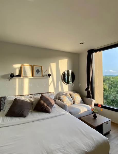 The Base Central, Phuket, Chao Fah Tawan Tok Rd, Wichit, Muang Phuket, Phuket, 1 Bedroom, 26 sqm, Condo For Rent, by Connex Property, 500479056 - DDproperty.com
