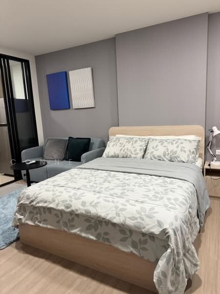 The Base Bukit Phuket, Phuket, 12 Vichitsongkram Rd, Wichit, Muang Phuket, Phuket, 1 Bedroom, 27 sqm, Condo For Rent, by Connex Property, 500479059 - DDproperty.com