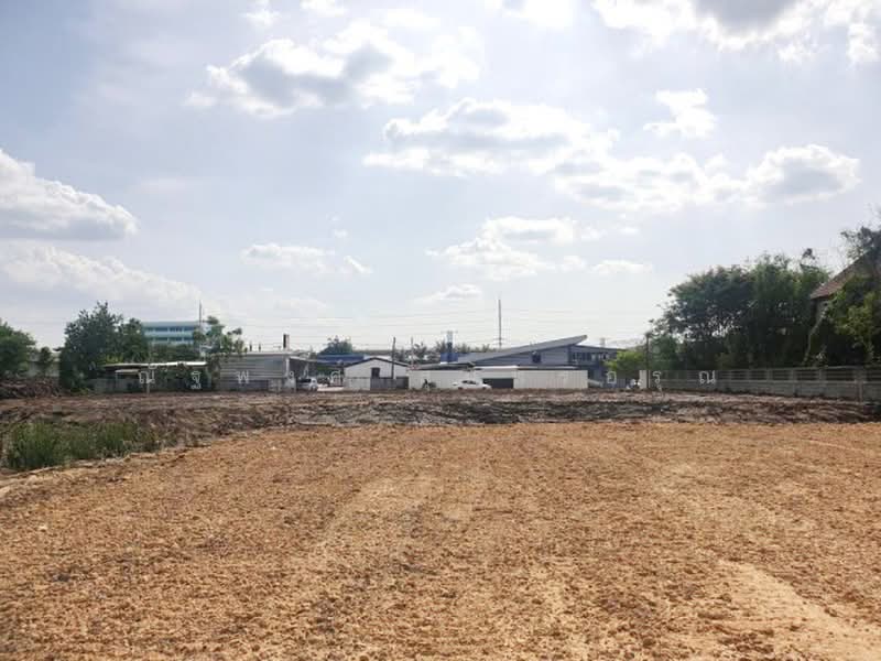 ไม่พบโครงการ, Pathum Thani, ลำลูกกา 15-21, Khu Khot, Lam Luk Ka, Pathum Thani, , 8,224 sqm, Land For Rent, by ณัฐพงศ์ สุนทรอรุณ, 500479121 - DDproperty.com