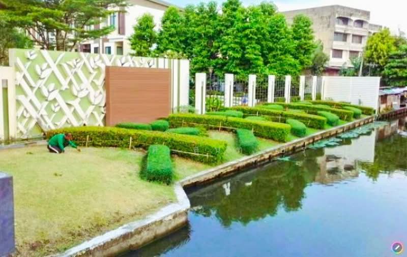 ไม่พบโครงการ, Bangkok, เพชรเกษม 69, Nong Kang Plu, Nong Khaem, Bangkok, 3 Bedrooms, 222 sqm, Townhouse For Rent, by ณัฐพงศ์ สุนทรอรุณ, 500479127 - DDproperty.com