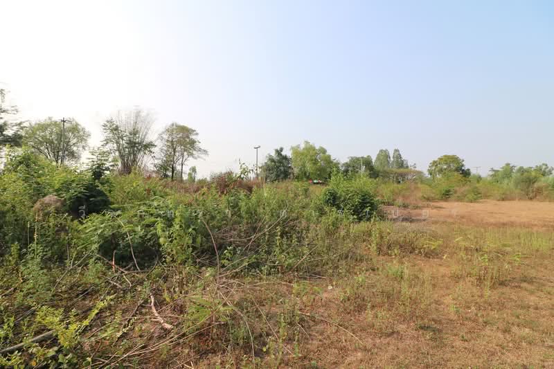Affordable 2+ Rai Land For Sale In Udon Thani, Udon Thani, Nong Na Kham, Muang Udon Thani, Udon Thani, , 3,832 sqm, Land For Sale, by วีรภัทรา ดาร์เปอร์, 500479134 - DDproperty.com