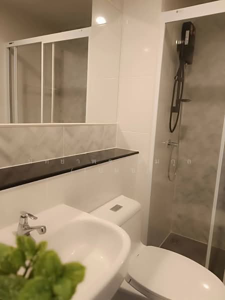 Regent Home Bangna, Bangkok, Sanphawut Road, Bang Na Tai, Bang Na, Bangkok, 1 Bedroom, 28 sqm, Condo For Rent, by Nattayaporn Peumkul (Benz), 500479146 - DDproperty.com