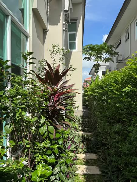 Casa Grand Onnuch-Wongwhean, Bangkok, Kanchanaphisek Road, Dok Mai, Prawet, Bangkok, 4 Bedrooms, 304 sqm, Single Detached House For Rent, by Nitchakarn Wanitwichakornkit, 500479265 - DDproperty.com