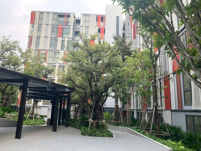 Taka Haus : ทากะ เฮาส์, กรุงเทพ, 99 ซอยเอกมัย 10, คลองตันเหนือ, วัฒนา, กรุงเทพ, 30 ตร.ม., คอนโด ให้เช่า, โดย Khlueanphon Nukulsirisak, 500479271 - DDproperty.com
