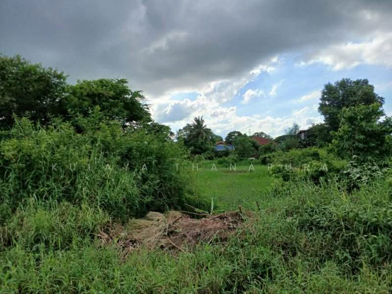 ที่ดินเปล่า ต.หนองบัว อ.เมืองอุดรธานี ตรงข้ามโลตัส พลัส : Vacant Land, Nong Bua, Mueang Udon Thani., อุดรธานี, รอบเมือง, หนองบัว, เมืองอุดรธานี, อุดรธานี, 403 ตร.ม., ที่ดิน ให้เช่า, โดย Kulaya Thanapura, 500479319 - DDproperty.com