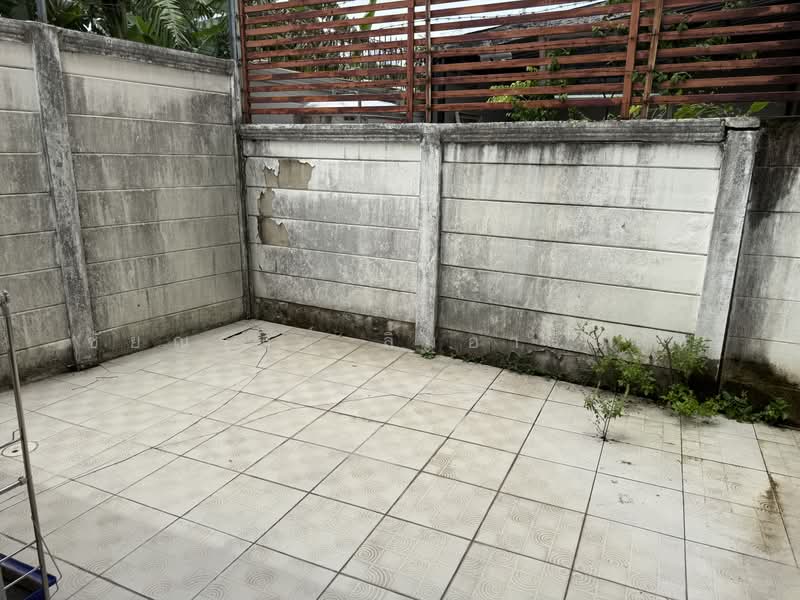 Baan Ravipa Sukhumvit 103, Bangkok, Soi Sukhumvit 103 (Udomsuk Road), Bang Chak, Phra Khanong, Bangkok, 5 Bedrooms, 263 sqm, Townhouse For Sale, by ชัยณรงค์ ลิ้มอารีย์สุข, 500479401 - DDproperty.com