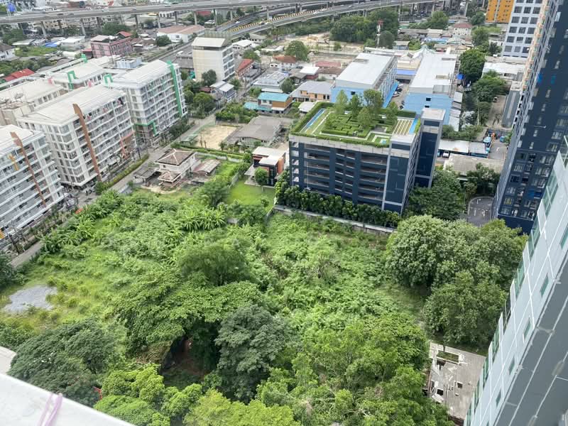 Rhythm Sukhumvit 50, Bangkok, 8 Sukhumvit 50, Sukhumvit Road, Phra Kanong, Khlong Toei, Bangkok, 1 Bedroom, 36 sqm, Condo For Rent, by Yoshida Co., Ltd., 500479422 - DDproperty.com