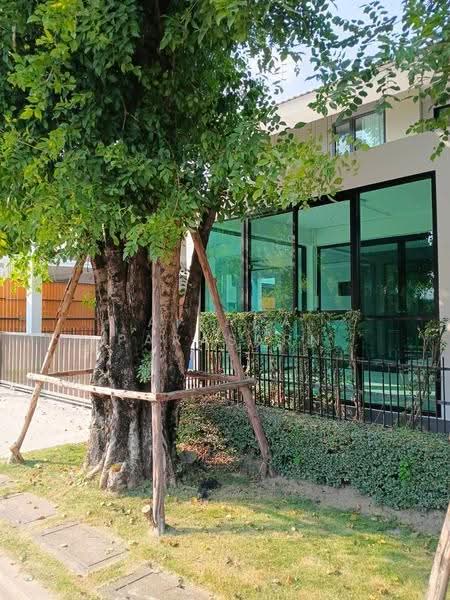 Kanasiri Wongwaen Lumlukka, Pathum Thani, Kanchanaphisek Ring, Bung Kham Proi, Lam Luk Ka, Pathum Thani, 5 Bedrooms, 240 sqm, Single Detached House For Rent, by Airada Parasarn, 500479511 - DDproperty.com