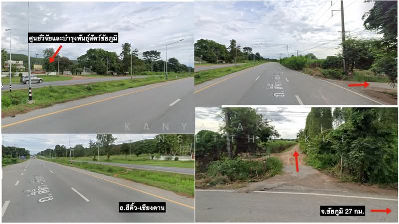 ที่ดิน 11 ไร่ 1 งาน 85 ตร.ว. วิวภูเขา ตำบลห้วยไร่ อำเภอคอนสวรรค์ จังหวัดชัยภูมิ, Chaiyaphum, Huai Rai, Khon Sawan, Chaiyaphum, , 18,340 sqm, Land For Sale, by Kanyarak Borwornsetthaskul, 500479526 - DDproperty.com