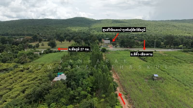 ที่ดิน 11 ไร่ 1 งาน 85 ตร.ว. วิวภูเขา ตำบลห้วยไร่ อำเภอคอนสวรรค์ จังหวัดชัยภูมิ, Chaiyaphum, Huai Rai, Khon Sawan, Chaiyaphum, , 18,340 sqm, Land For Sale, by Kanyarak Borwornsetthaskul, 500479526 - DDproperty.com