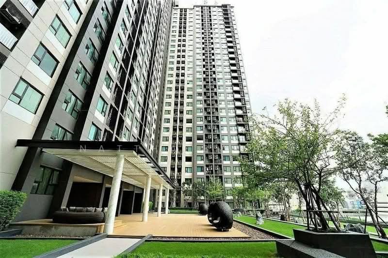 Life Asoke : ไลฟ์ อโศก, กรุงเทพ, ถนนอโศก-ดินแดง แขวงบางกะปิ เขตห้วยขวาง กทม., บางกะปิ, ห้วยขวาง, กรุงเทพ, 31 ตร.ม., คอนโด ให้เช่า, โดย Nattha Baibua, 500479605 - DDproperty.com