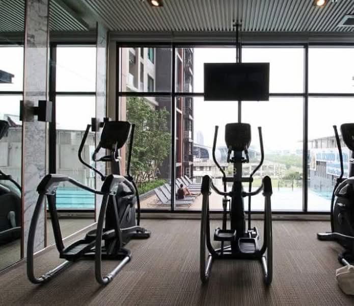 Life Asoke, Bangkok, Asoke-Dindang Road, Bang Kapi, Huai Khwang, Bangkok, 1 Bedroom, 31 sqm, Condo For Rent, by Nattha Baibua, 500479605 - DDproperty.com