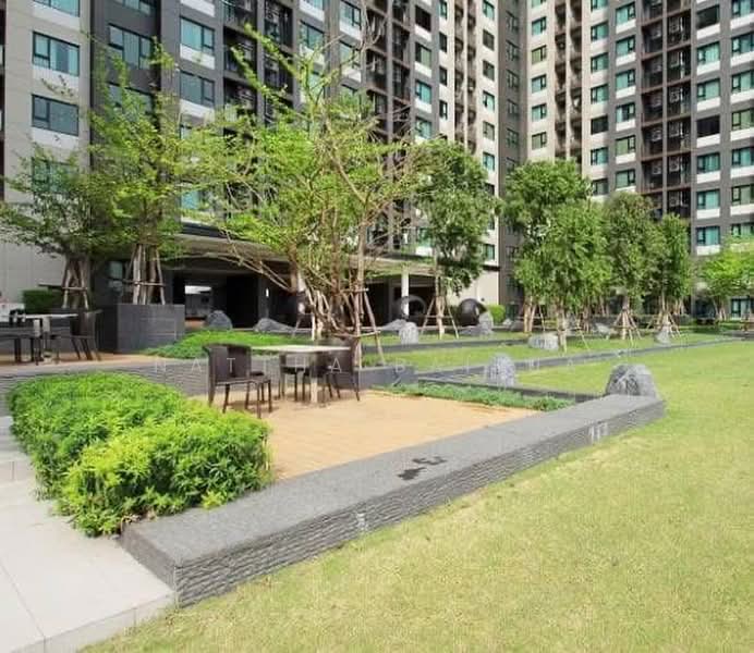 Life Asoke, Bangkok, Asoke-Dindang Road, Bang Kapi, Huai Khwang, Bangkok, 1 Bedroom, 31 sqm, Condo For Rent, by Nattha Baibua, 500479605 - DDproperty.com