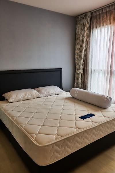 Life Sukhumvit 48, Bangkok, Soi Sukhumvit 48, Phra Kanong, Khlong Toei, Bangkok, 2 Bedrooms, 60 sqm, Condo For Rent, by Nattha Baibua, 500479612 - DDproperty.com