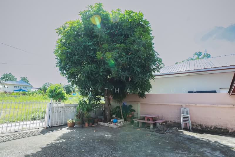 ให้เช่าบ้าน 2 ชั้น ต.บ้านเลื่อม อ.เมืองอุดรธานี บรรยากาศร่มรื่น : 2-Story House for Rent Ban Lueam, อุดรธานี, 2263, บ้านเลื่อม, เมืองอุดรธานี, อุดรธานี, 240 ตร.ม., บ้านเดี่ยว ให้เช่า, โดย Kulaya Thanapura, 500479625 - DDproperty.com