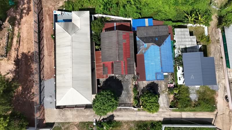 ให้เช่าบ้าน 2 ชั้น ต.บ้านเลื่อม อ.เมืองอุดรธานี บรรยากาศร่มรื่น : 2-Story House for Rent Ban Lueam, อุดรธานี, 2263, บ้านเลื่อม, เมืองอุดรธานี, อุดรธานี, 240 ตร.ม., บ้านเดี่ยว ให้เช่า, โดย Kulaya Thanapura, 500479625 - DDproperty.com