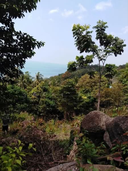 Koh Phangan, Surat Thani, Ban-Tai, Ko Phangan, Surat Thani, , 5,672 sqm, Land For Rent, by วุฒิภัทร มิ่งคำ, 500479642 - DDproperty.com