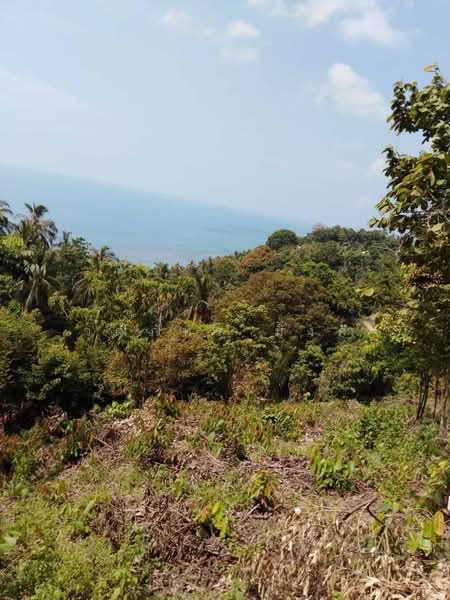 Koh Phangan, Surat Thani, Ban-Tai, Ko Phangan, Surat Thani, , 5,672 sqm, Land For Rent, by วุฒิภัทร มิ่งคำ, 500479642 - DDproperty.com