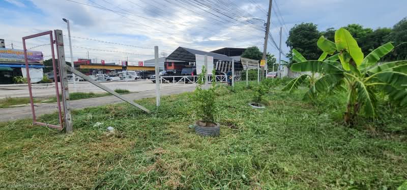 ที่ดิน ถนนสามวา 1 มีนบุรี กรุงเทพมหานคร, กรุงเทพ, สามวา, มีนบุรี, กรุงเทพ, 904 ตร.ม., ที่ดิน ขาย, โดย ภูสยาม ธัญปริภัทร์, 500479670 - DDproperty.com