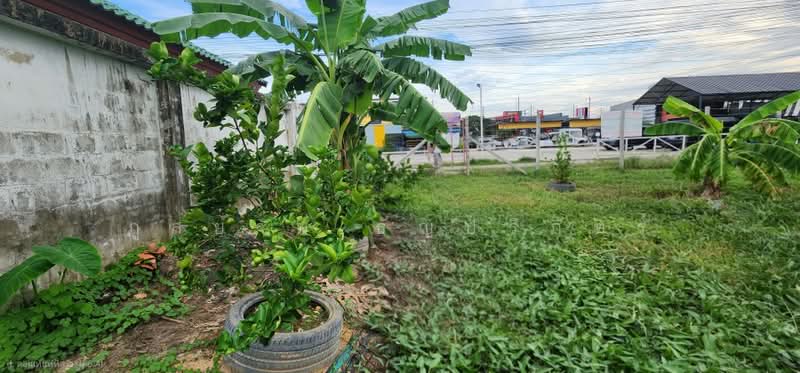 ที่ดิน ถนนสามวา 1 มีนบุรี กรุงเทพมหานคร, กรุงเทพ, สามวา, มีนบุรี, กรุงเทพ, 904 ตร.ม., ที่ดิน ขาย, โดย ภูสยาม ธัญปริภัทร์, 500479670 - DDproperty.com