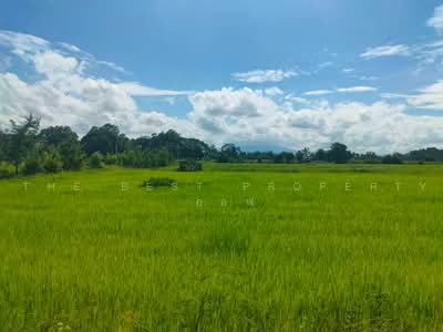 ขาย - ที่ดินกงไกรลาศ สุโขทัย, สุโขทัย