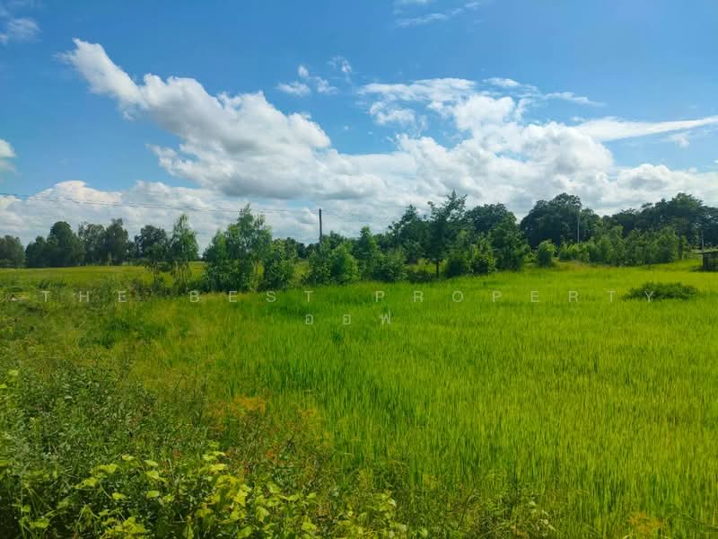 ที่ดินกงไกรลาศ สุโขทัย, Sukhothai, Tha Chanuan, Kong Krailat, Sukhothai, , 71,348 sqm, Land For Sale, by The Best Property ออฟ, 500479854 - DDproperty.com