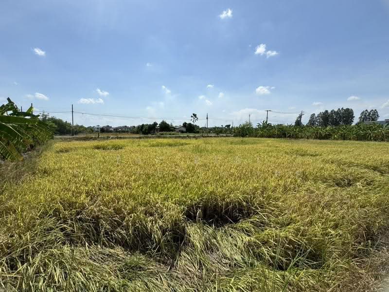ที่ดินบางบัวทอง นนทบุรี, นนทบุรี, บางคูรัด, บางบัวทอง, นนทบุรี, 1,600 ตร.ม., ที่ดิน ขาย, โดย The Best Property เมฆ, 500479897 - DDproperty.com