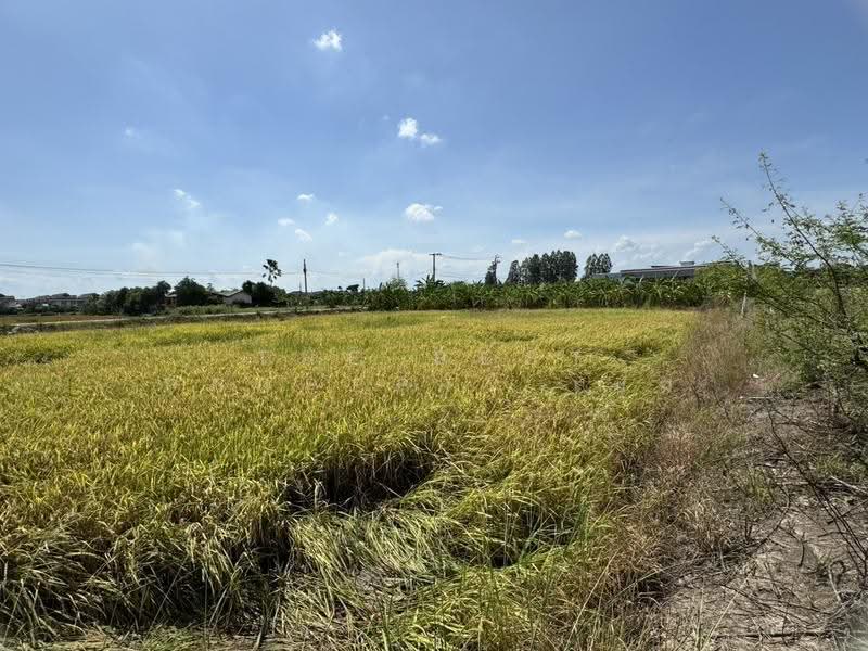 ที่ดินบางบัวทอง นนทบุรี, นนทบุรี, บางคูรัด, บางบัวทอง, นนทบุรี, 1,600 ตร.ม., ที่ดิน ขาย, โดย The Best Property เมฆ, 500479897 - DDproperty.com