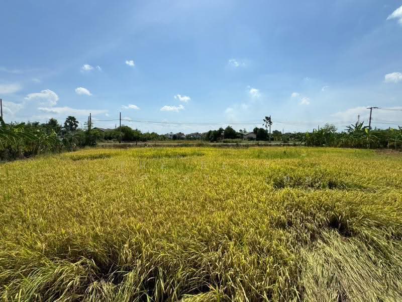 ที่ดินบางบัวทอง นนทบุรี, นนทบุรี, บางคูรัด, บางบัวทอง, นนทบุรี, 1,600 ตร.ม., ที่ดิน ขาย, โดย The Best Property เมฆ, 500479897 - DDproperty.com