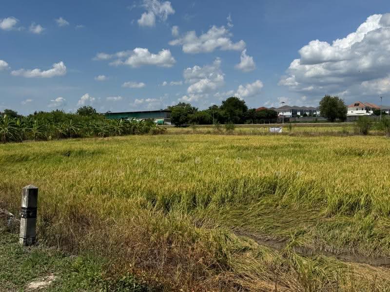 ที่ดินบางบัวทอง นนทบุรี, Nonthaburi, Bang Khu Rat, Bang Bua Thong, Nonthaburi, , 1,600 sqm, Land For Sale, by The Best Property เมฆ, 500479897 - DDproperty.com
