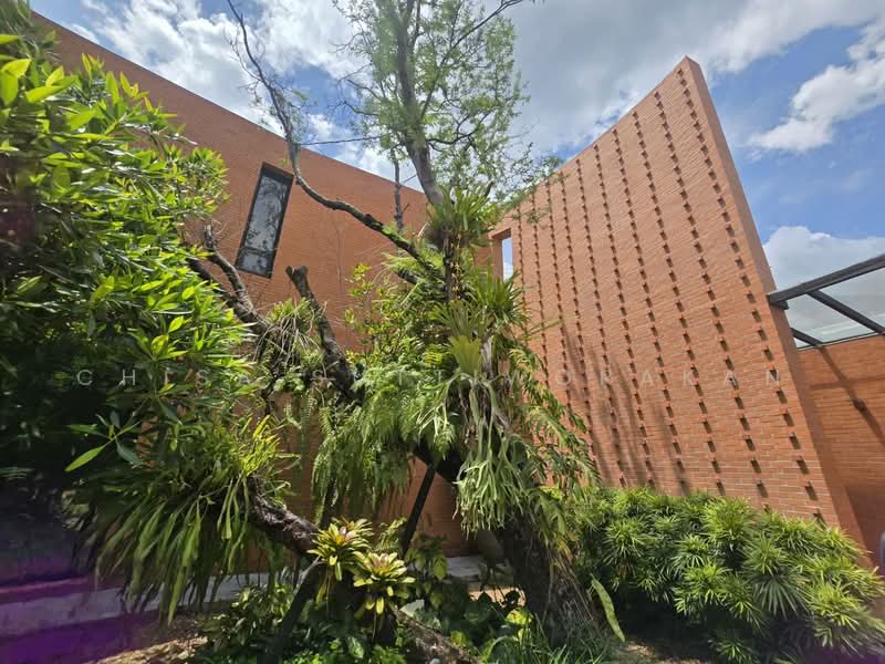 courtyard 150, Bangkok, Lat Yao, Chatuchak, Bangkok, , 1,660 sqm, Business For Rent, by Chisa Suttiworakan, 500479905 - DDproperty.com