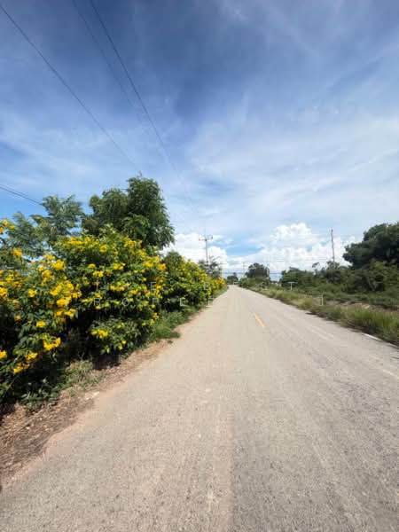 ที่ดินราชสาส์น ฉะเชิงเทรา, Chachoengsao, Muang Mai, Ratchasan, Chachoengsao, , 32,000 sqm, Land For Sale, by The Best Property ซี, 500479919 - DDproperty.com