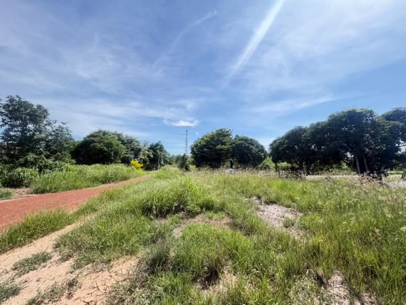 ที่ดินราชสาส์น ฉะเชิงเทรา, Chachoengsao, Muang Mai, Ratchasan, Chachoengsao, , 32,000 sqm, Land For Sale, by The Best Property ซี, 500479919 - DDproperty.com