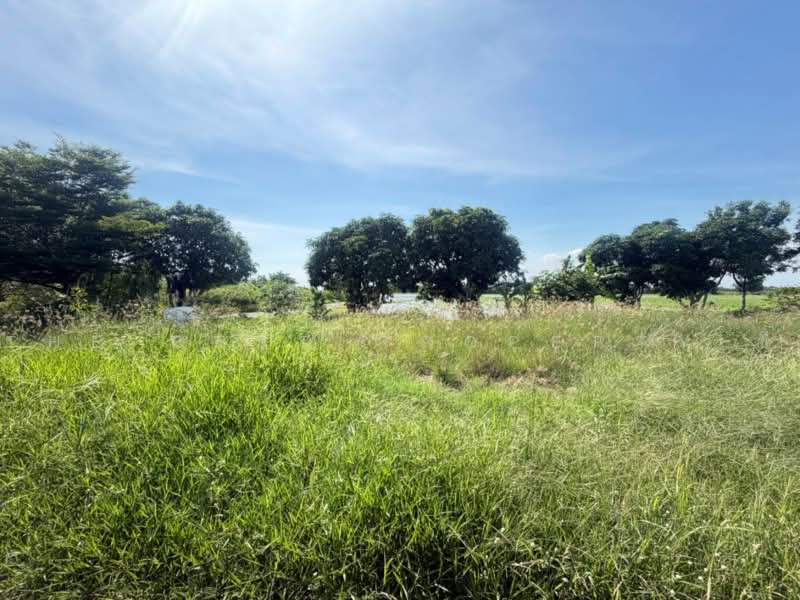 ที่ดินราชสาส์น ฉะเชิงเทรา, Chachoengsao, Muang Mai, Ratchasan, Chachoengsao, , 32,000 sqm, Land For Sale, by The Best Property ซี, 500479919 - DDproperty.com