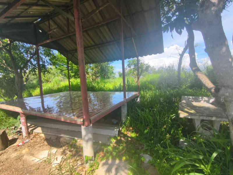 ที่ดินราชสาส์น ฉะเชิงเทรา, ฉะเชิงเทรา, เมืองใหม่, ราชสาส์น, ฉะเชิงเทรา, 32,000 ตร.ม., ที่ดิน ขาย, โดย The Best Property ซี, 500479919 - DDproperty.com