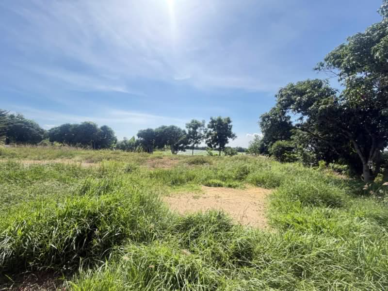 ที่ดินราชสาส์น ฉะเชิงเทรา, ฉะเชิงเทรา, เมืองใหม่, ราชสาส์น, ฉะเชิงเทรา, 32,000 ตร.ม., ที่ดิน ขาย, โดย The Best Property ซี, 500479919 - DDproperty.com