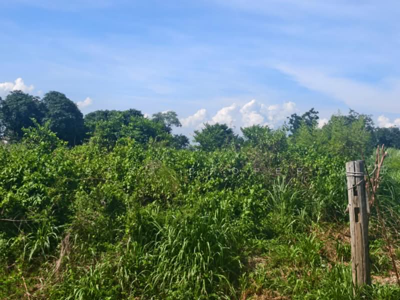 ที่ดินราชสาส์น ฉะเชิงเทรา, ฉะเชิงเทรา, เมืองใหม่, ราชสาส์น, ฉะเชิงเทรา, 32,000 ตร.ม., ที่ดิน ขาย, โดย The Best Property ซี, 500479919 - DDproperty.com