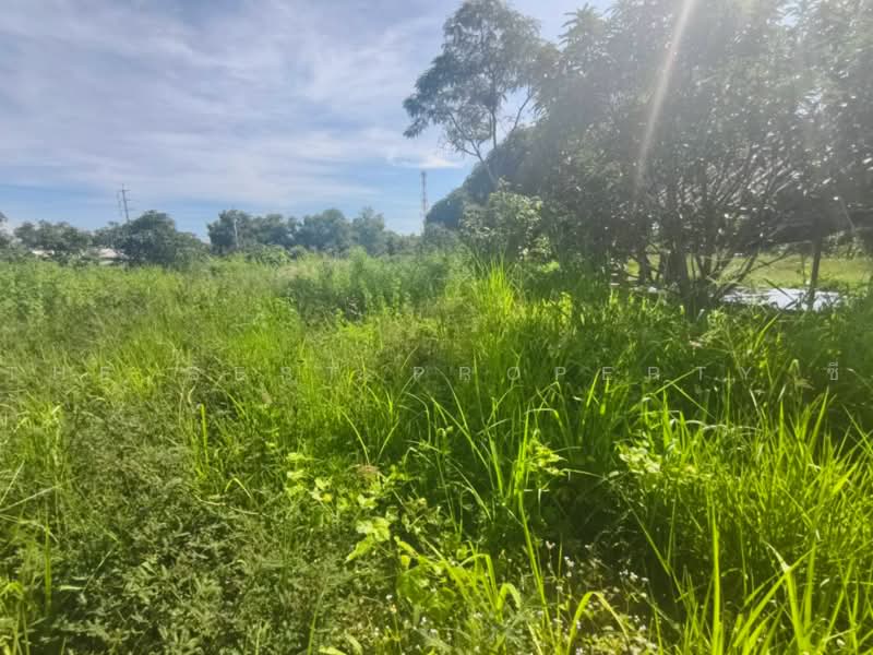 ที่ดินราชสาส์น ฉะเชิงเทรา, ฉะเชิงเทรา, เมืองใหม่, ราชสาส์น, ฉะเชิงเทรา, 32,000 ตร.ม., ที่ดิน ขาย, โดย The Best Property ซี, 500479919 - DDproperty.com