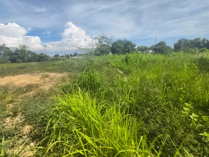 ที่ดินราชสาส์น ฉะเชิงเทรา, Chachoengsao, Muang Mai, Ratchasan, Chachoengsao, , 32,000 sqm, Land For Sale, by The Best Property ซี, 500479919 - DDproperty.com