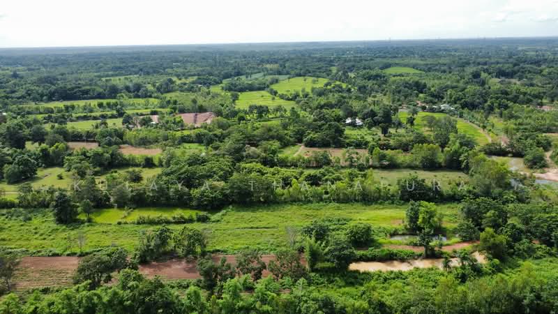 ที่ดินเกษตรกรรม ต.บ้านธาตุ อ.เพ็ญ จ.อุดรธานี เหมาะทำสวนฟาร์มสเตย์ : Agricultural Land, Phen, Udon, อุดรธานี, บ้านธาตุ, เพ็ญ, อุดรธานี, 8,288 ตร.ม., ที่ดิน ขาย, โดย Kulaya Thanapura, 500479957 - DDproperty.com