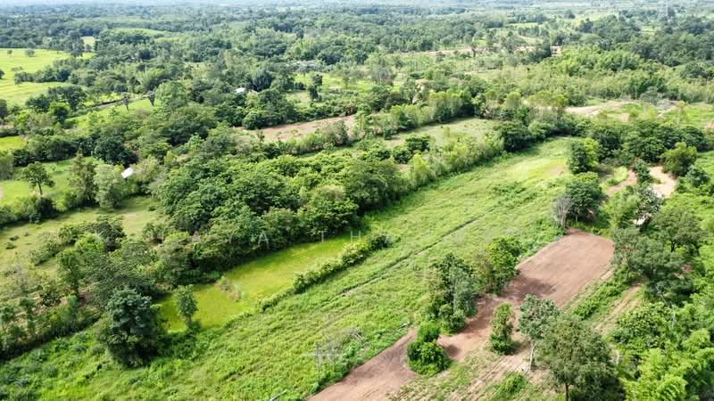 ที่ดินเกษตรกรรม ต.บ้านธาตุ อ.เพ็ญ จ.อุดรธานี เหมาะทำสวนฟาร์มสเตย์ : Agricultural Land, Phen, Udon, อุดรธานี, บ้านธาตุ, เพ็ญ, อุดรธานี, 8,288 ตร.ม., ที่ดิน ขาย, โดย Kulaya Thanapura, 500479957 - DDproperty.com