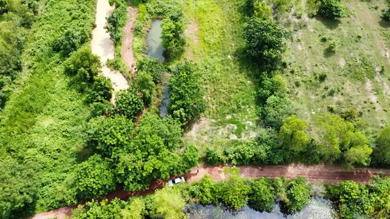 ที่ดินเกษตรกรรม ต.บ้านธาตุ อ.เพ็ญ จ.อุดรธานี เหมาะทำสวนฟาร์มสเตย์ : Agricultural Land, Phen, Udon, อุดรธานี, บ้านธาตุ, เพ็ญ, อุดรธานี, 8,288 ตร.ม., ที่ดิน ขาย, โดย Kulaya Thanapura, 500479957 - DDproperty.com