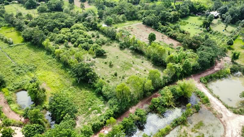ที่ดินเกษตรกรรม ต.บ้านธาตุ อ.เพ็ญ จ.อุดรธานี เหมาะทำสวนฟาร์มสเตย์ : Agricultural Land, Phen, Udon, อุดรธานี, บ้านธาตุ, เพ็ญ, อุดรธานี, 8,288 ตร.ม., ที่ดิน ขาย, โดย Kulaya Thanapura, 500479957 - DDproperty.com