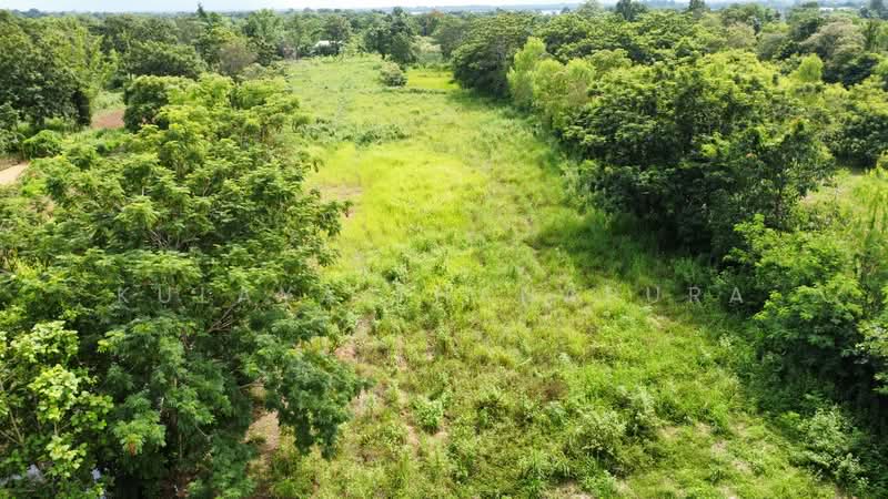 ที่ดินเกษตรกรรม อ.เพ็ญ อุดรธานี : Agricultural Land, Ban That, Phen, Udon Thani, Ideal for Farmstay, Udon Thani, บ้านธาตุ, Ban That, Phen, Udon Thani, , 8,288 sqm, Land For Sale, by Kulaya Thanapura, 500479957 - DDproperty.com